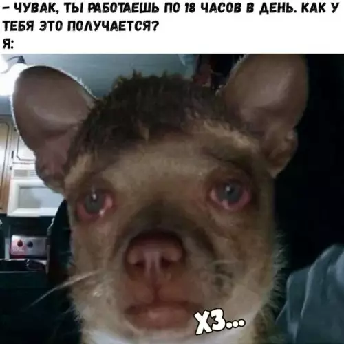 Смешная картинка №275028
