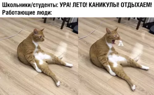 Смешная картинка №366584