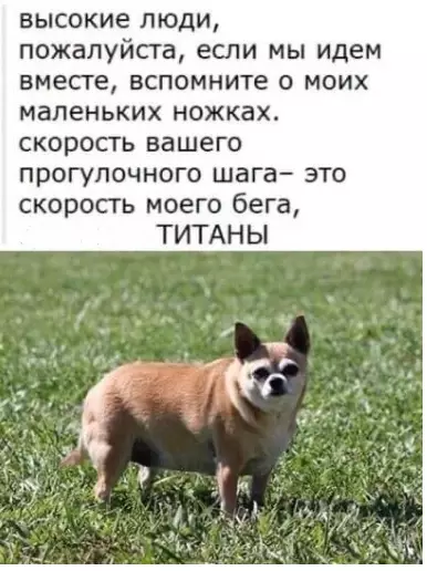 Смешная картинка №471477 ??
