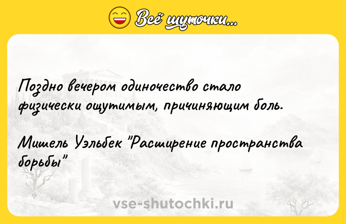 Цитата: Поздно вечером одиночество стало физически ощутимым, причиняющим боль. Мишель Уэльбек Расширение пространства борьбы
