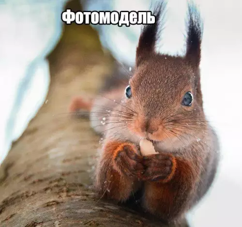 Смешная картинка №180258