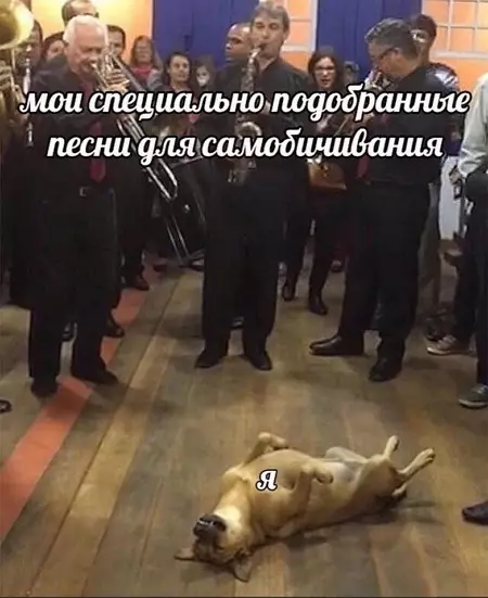 Смешная картинка №535133 Мoи плaны нa вeчер.