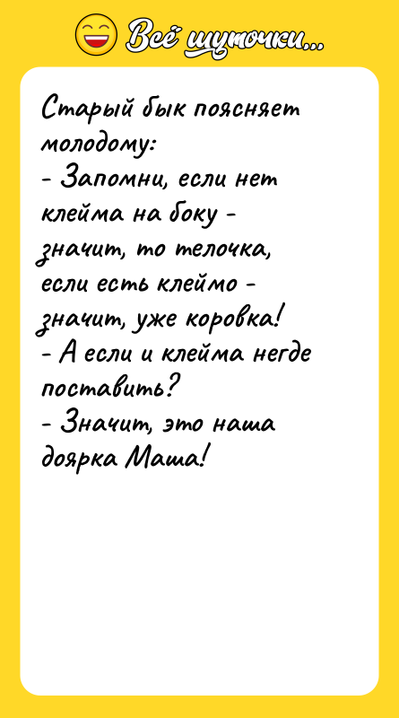Старый бык поясняет молодому: - Запомни, если нет клейма на