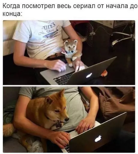 Смешная картинка №245626