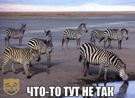 Смешная картинка №479715 #приколы #картинки #мемы ?