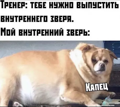 Смешная картинка №408540