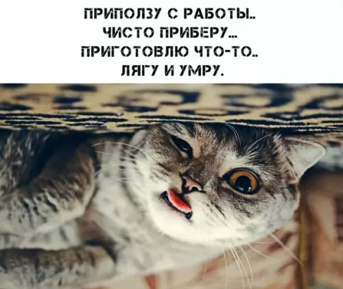 Смешная картинка №523603 Жизa...