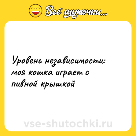 Шутка: Уровень независимости: моя кошка играет с пивной крышкой