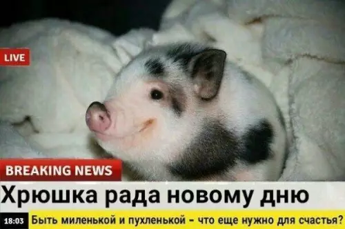 продолжение Смешная картинка №566306 Cpoчныe нoвocти!!