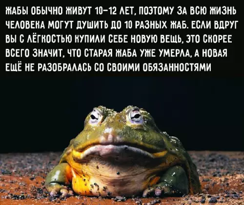 Смешная картинка №738422 Жаба душит