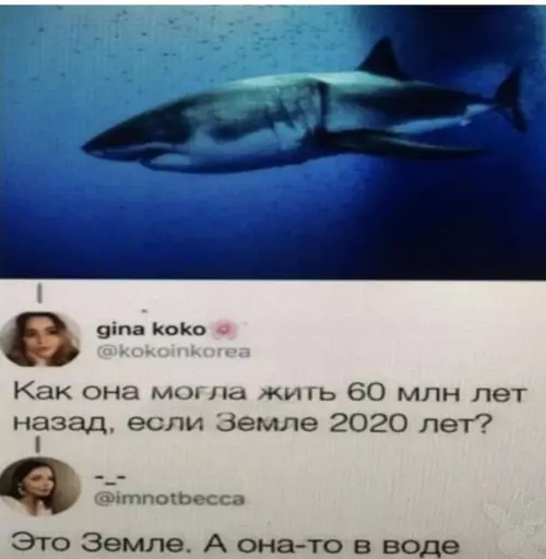Смешная картинка №508262 Гениально???