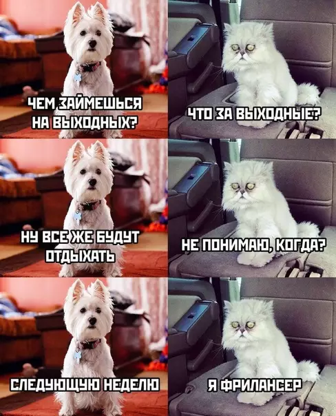 Смешная картинка №479888 Фрилансеры оценят.