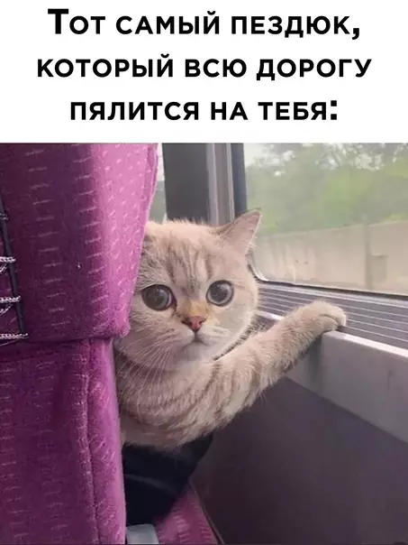 Смешная картинка №600988