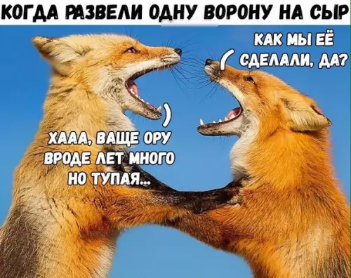 Смешная картинка №221868
