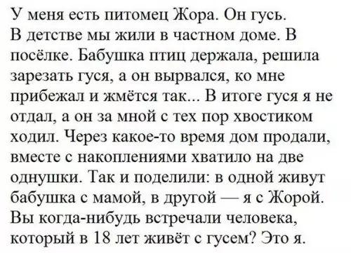 Смешная картинка №235382