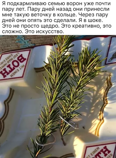Смешная картинка №483922 Искусство