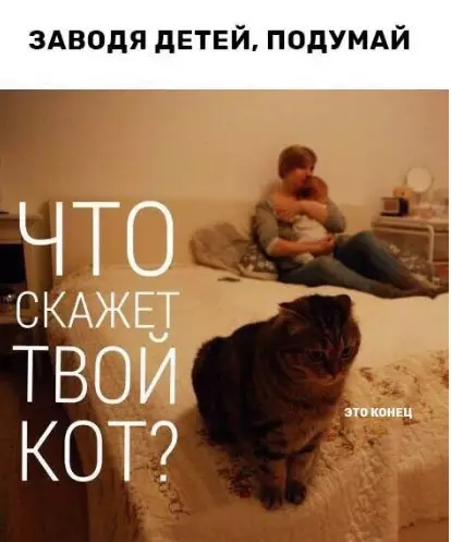 Смешная картинка №372984
