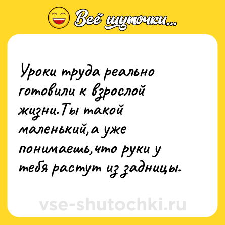 Шутка: Уроки труда реально готовили к взрослой жизни.Ты такой маленький,а уже понимаешь,что руки у тебя растут из задницы.
