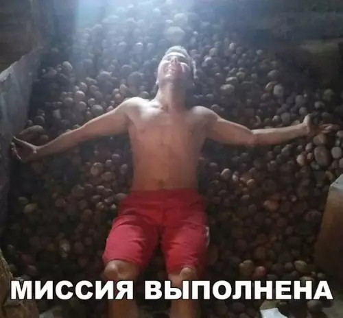 Смешная картинка №206250