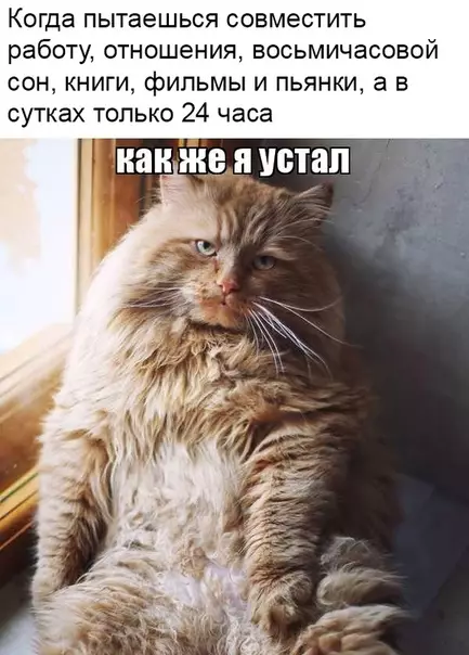Смешная картинка №332450