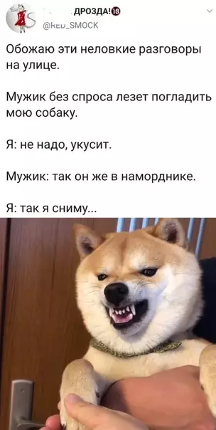 Смешная картинка №505930 нечего трогать, не спросив