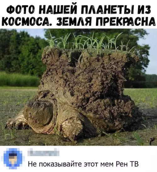 Смешная картинка №381208