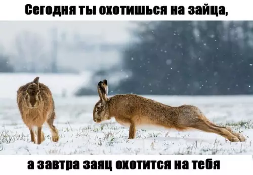 Смешная картинка №297119 Еще 10 отжиманий и он идет за тобой