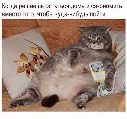 Смешная картинка №229506