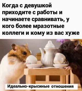 Смешная картинка №668664