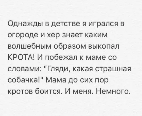 Смешная картинка №285174
