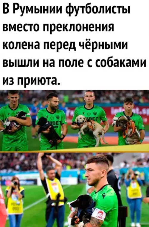 Смешная картинка №599732 Реально молодцы) доброта