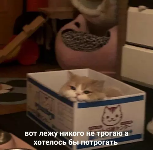 Смешная картинка №766206