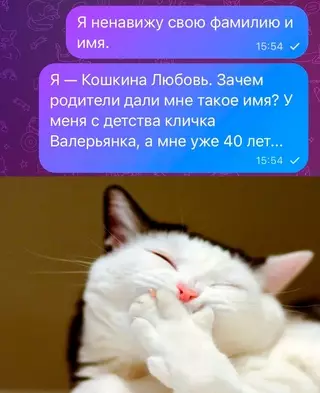 Смешная картинка №710601