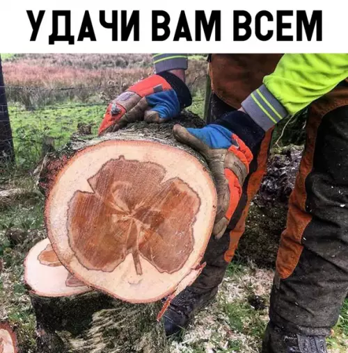 Смешная картинка №311222