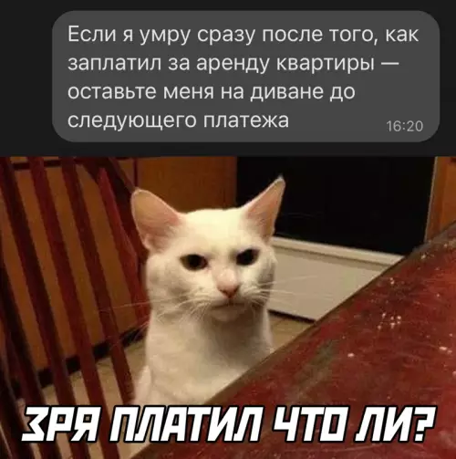Смешная картинка №641875
