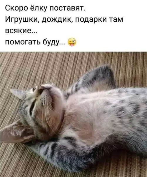 Смешная картинка №420665