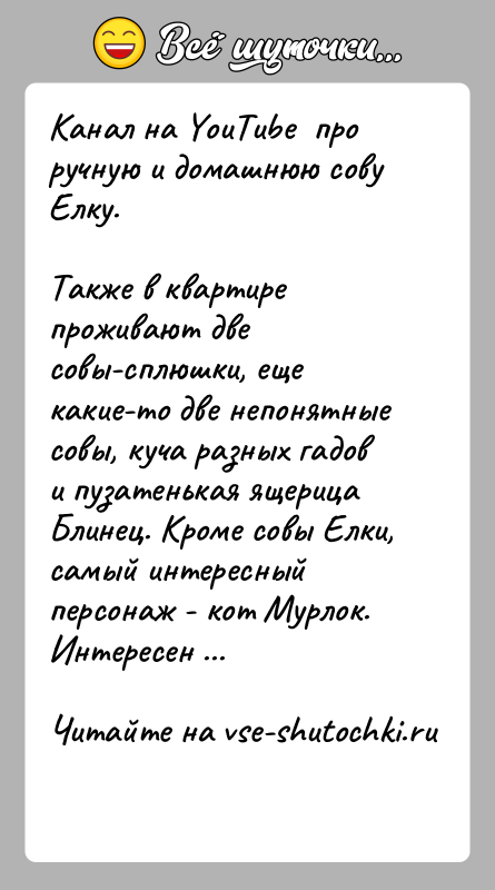 История: Канал на YouTube про ручную и домашнюю сову Елку.Также в квартире проживают две совы-сплюшки, еще какие-то две непонятные совы,