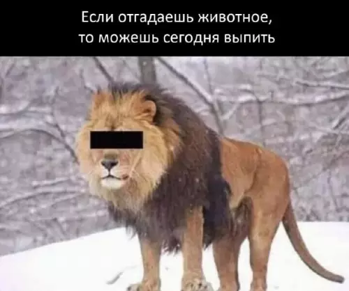 Смешная картинка №677074