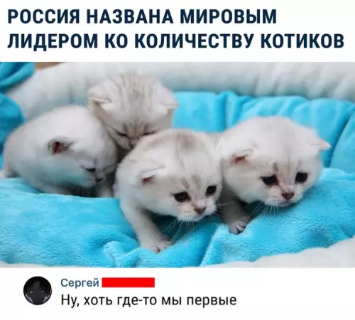 Смешная картинка №324496 Достижение!