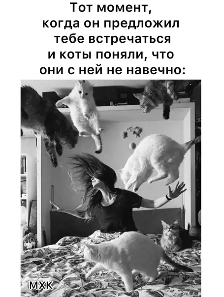 Смешная картинка №582282