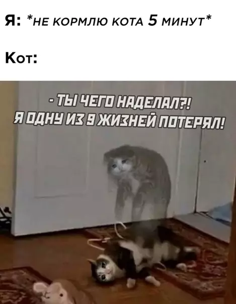 Смешная картинка №555103