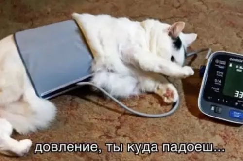 Смешная картинка №717430 Погода на улице: ухудшаетсяЯ:
