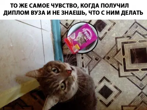 Смешная картинка №277253