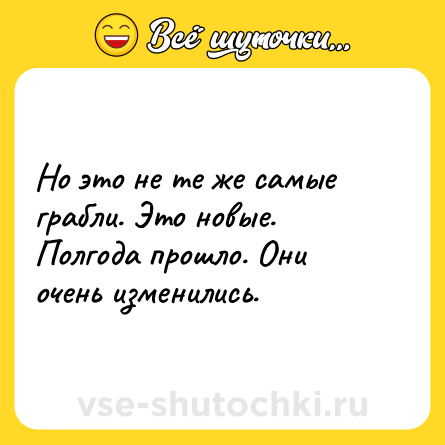 Шутка: Но это не те же самые грабли. Это новые. Полгода прошло. Они очень изменились.