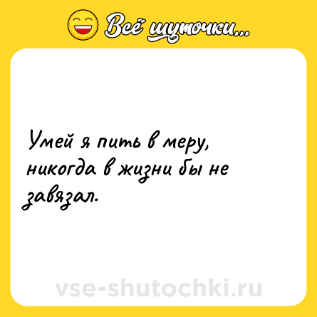 Шутка: Умей я пить в меру, никогда в жизни бы не завязал.