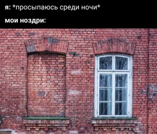 Смешная картинка №647532