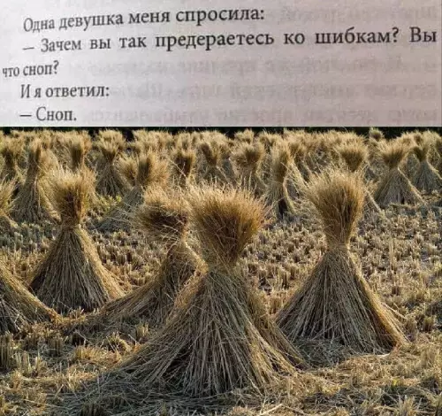 Когда уровень самоиронии — бог 😂🌾 - Одна девушка меня спросила: Зачем вы так предераетесь ко шибкам?