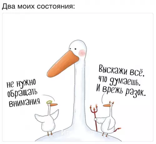 Смешная картинка №316554