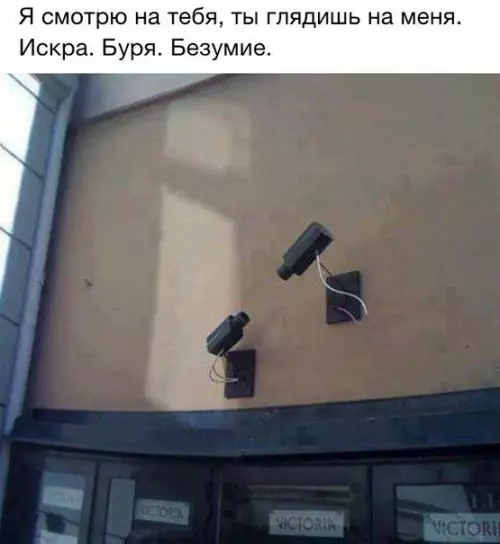 Смешная картинка №224084