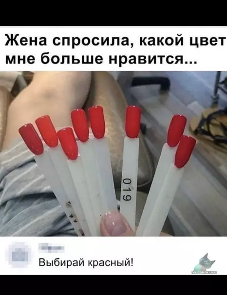 Смешная картинка №372363